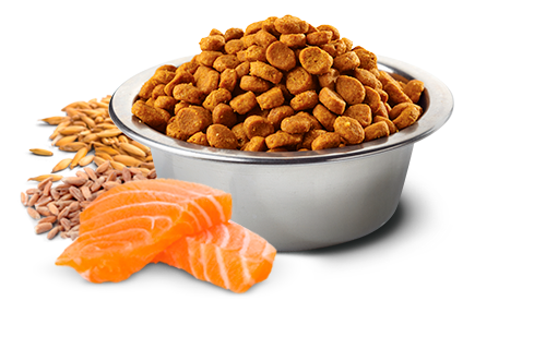 Croquetas de N&D Tropical Selection Salmón para perros pequeños