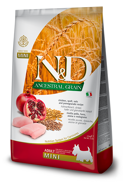 N&D Ancestral Pollo & Granada Adult Mini