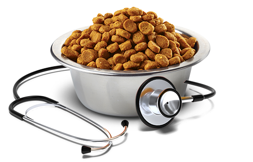 Croquetas de Farmina Vet Life Hipoalergénico Cerdo y Papa para gatos