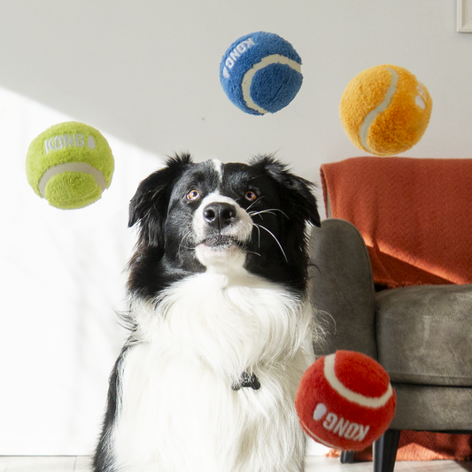 KONG Sport Softies Ball