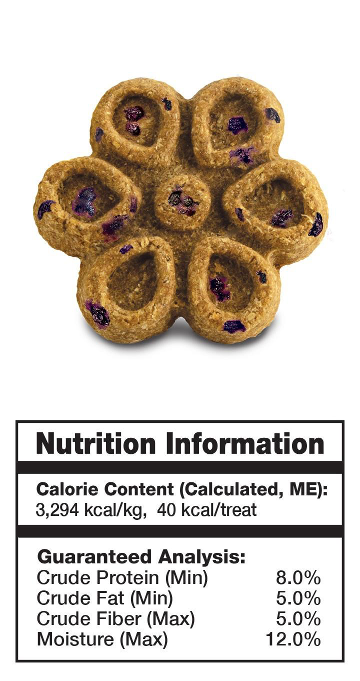 Fruitables Biggies – Pumpkin & Blueberry