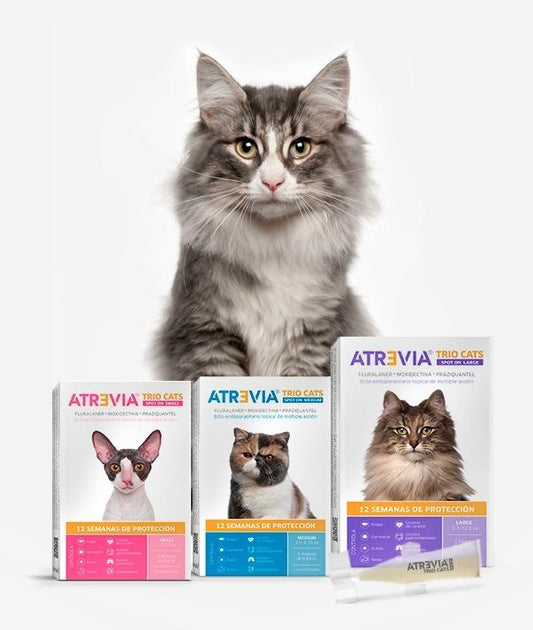 ATREVIA TRIO CATS - Pipeta antipulgas