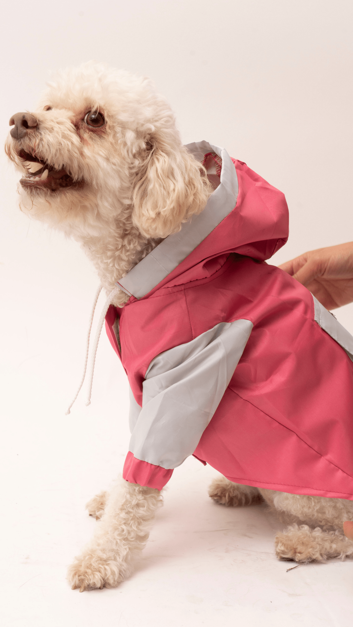 Chumpa impermeable para perritos – Mosi by Cosi - Pet Republic GTMosi by CosiS