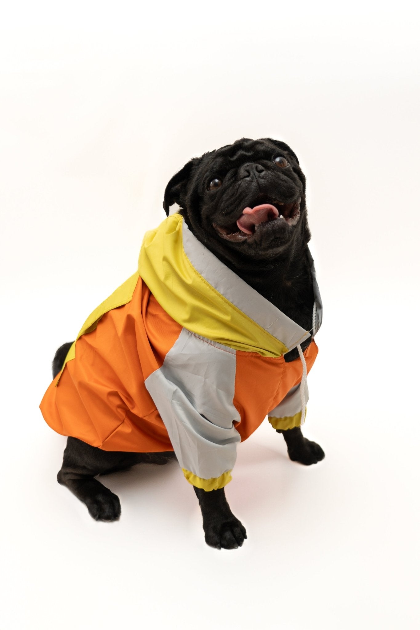 Chumpa impermeable para perritos – Mosi by Cosi - Pet Republic GTMosi by CosiS