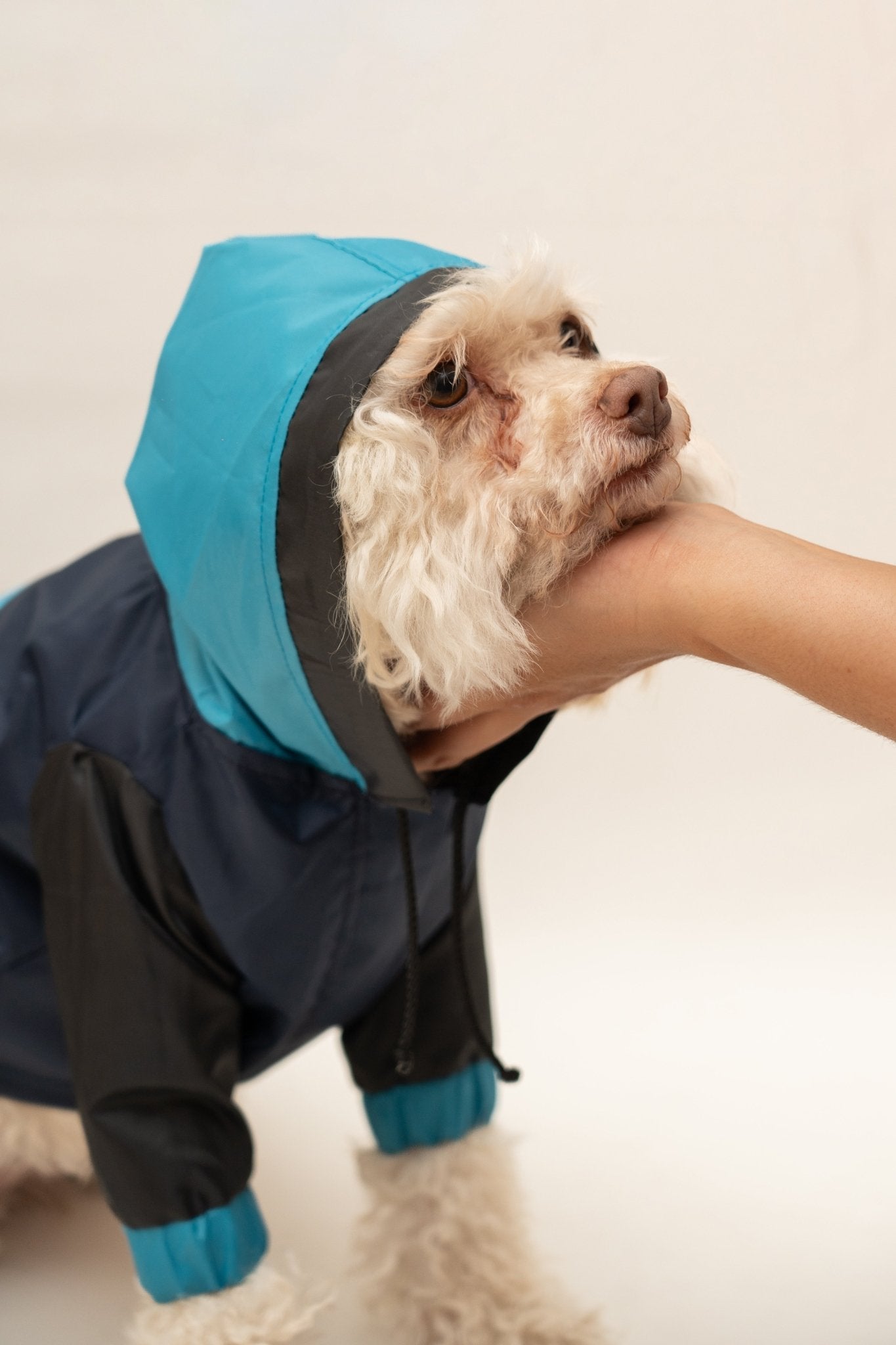 Chumpa impermeable para perritos – Mosi by Cosi - Pet Republic GTMosi by CosiS
