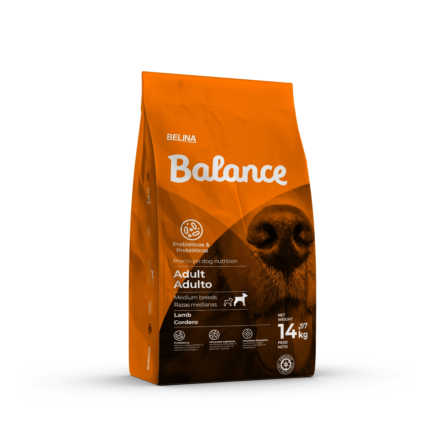 Concentrado Balance Adulto Cordero y Arroz - Pet Republic GTBalance2 KG