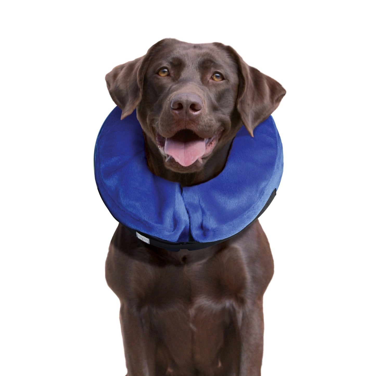 KONG Cloud™ Collar| Nube de E - Collar - Pet Republic GTKongXL