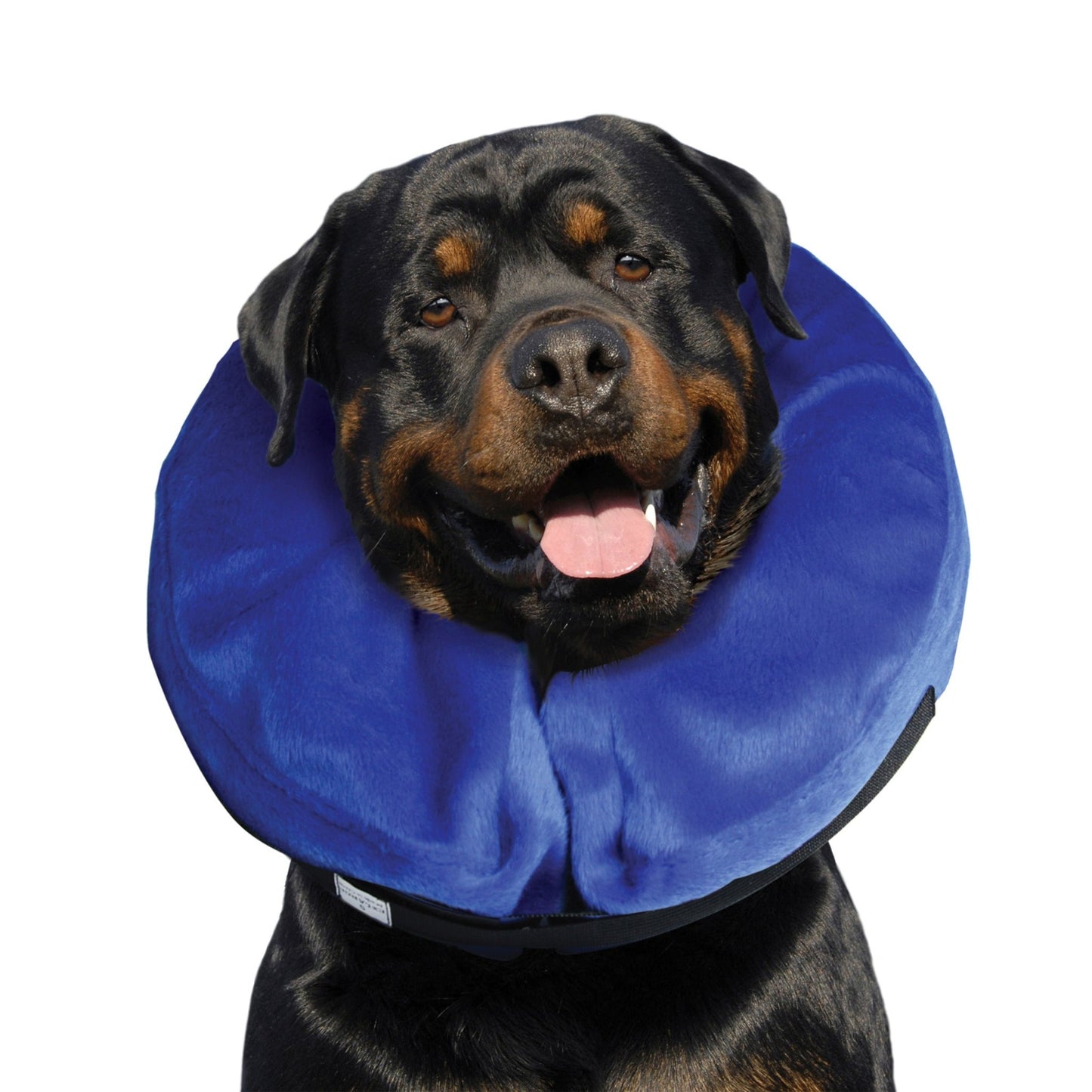 KONG Cloud™ Collar| Nube de E - Collar - Pet Republic GTKongXL