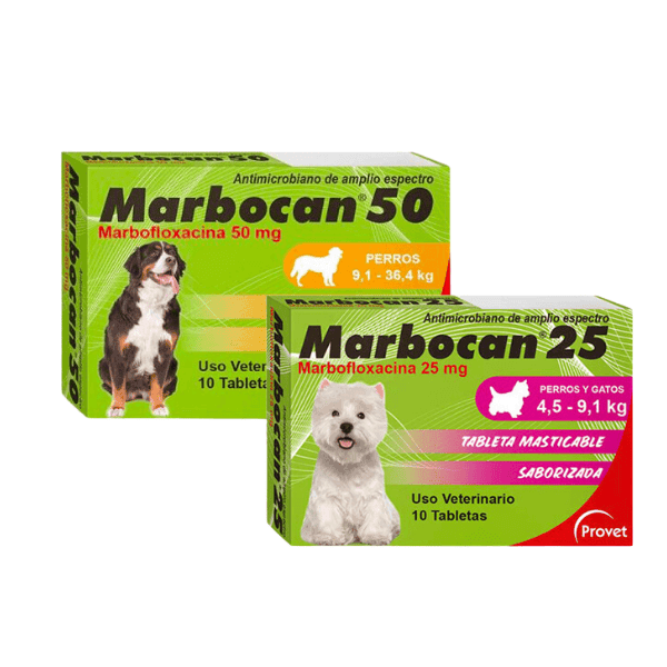 Marbocan Provet antibiótico oral 25 mg y 50 mg