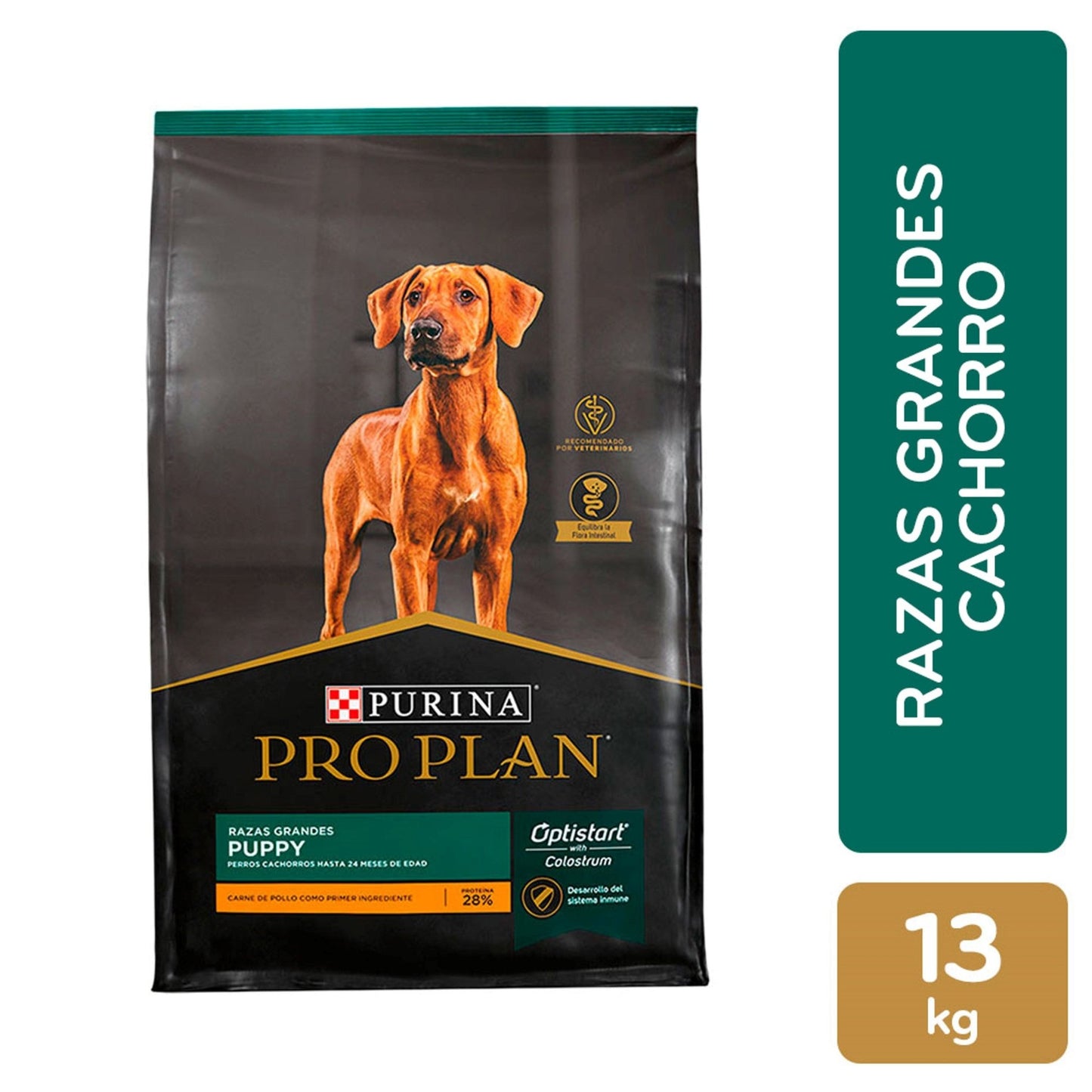 Pro Plan Cachorro Raza Grande - PetRepublicGtPurina13 KG