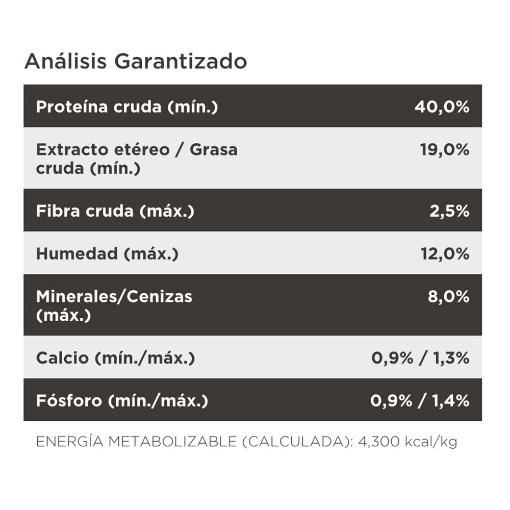 Pro Plan Gato Kitten - PetRepublicGtPurina1.5 KG