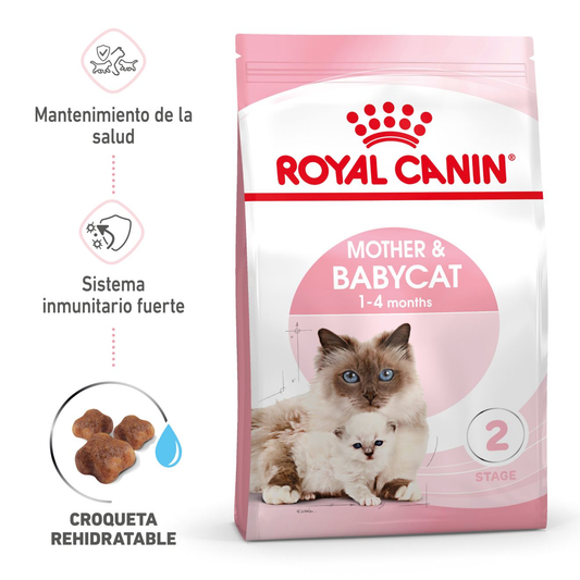 Royal Canin Mother & Babycat, concentrado para gatitos cachorros de 1 a 4 meses