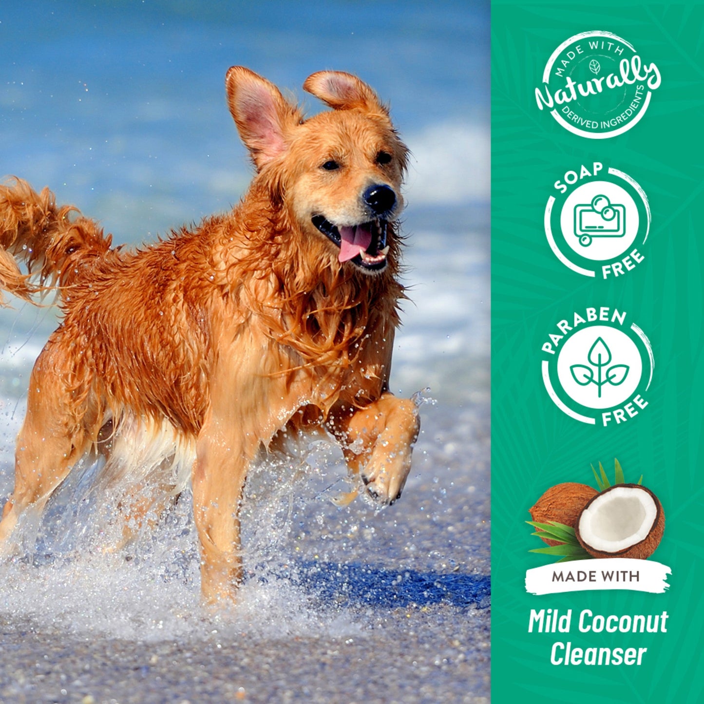 TropiClean Shampoo Berry & Coconut – Limpieza Profunda (Perros y Gatos) - Pet Republic GTTropiClean12 ONZ