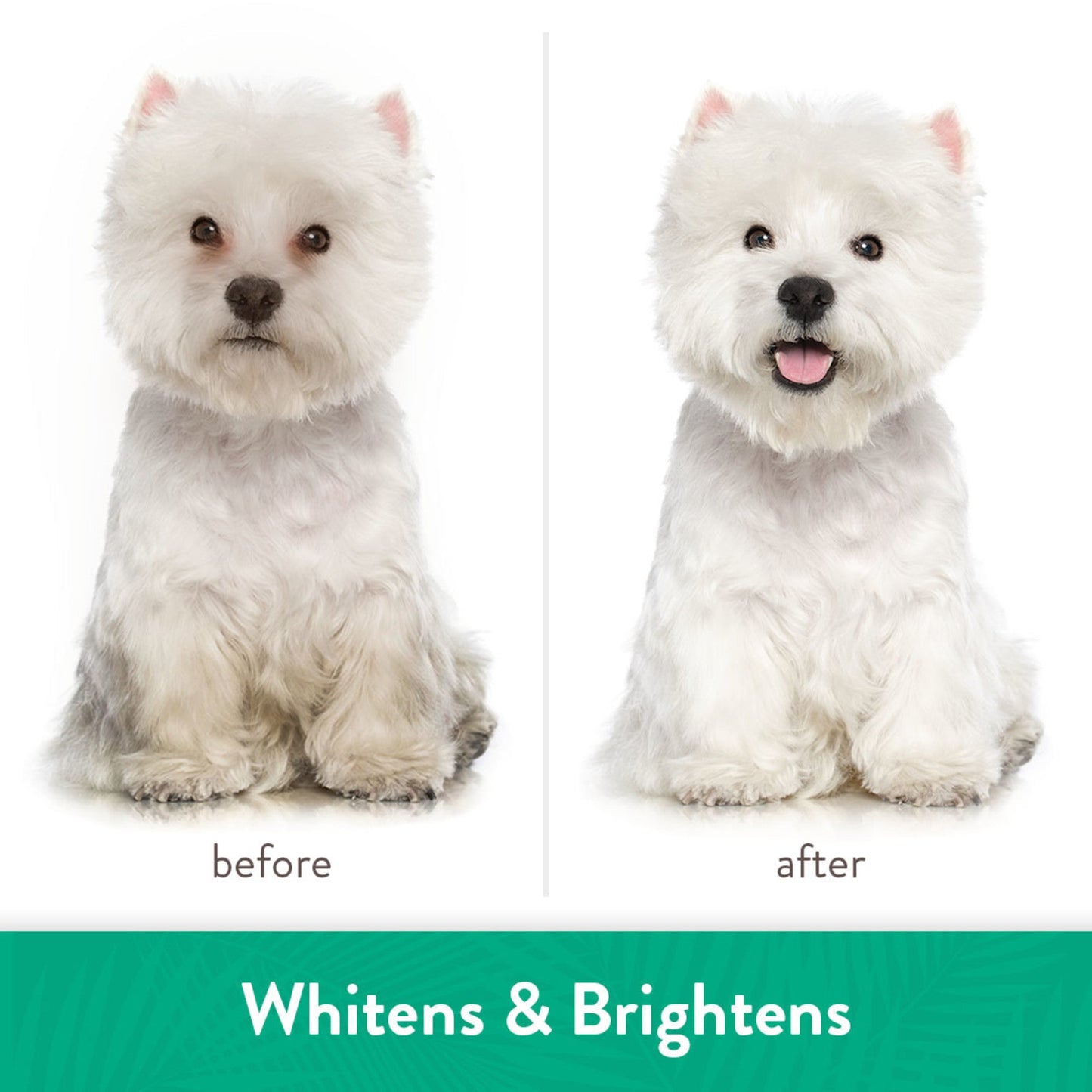 TropiClean Shampoo Natural Whitening (Blanqueador) – Perros & Gatos - Pet Republic GTTropiClean