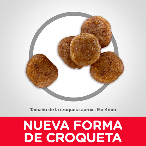 Hill’s Science Diet Mature Adult Small Bites Dry