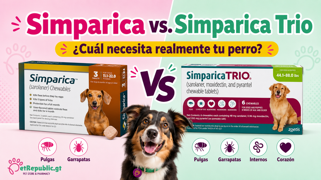 Simparica vs. Simparica Trio: diferencias, usos y cuál elegir para tu perro