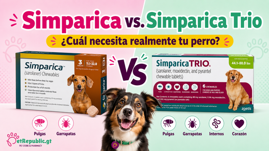 Simparica vs. Simparica Trio: diferencias, usos y cuál elegir para tu perro