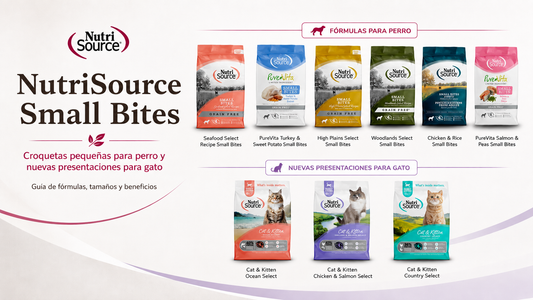 NutriSource Small Bites: cuando una croqueta más pequeña puede hacer una gran diferencia