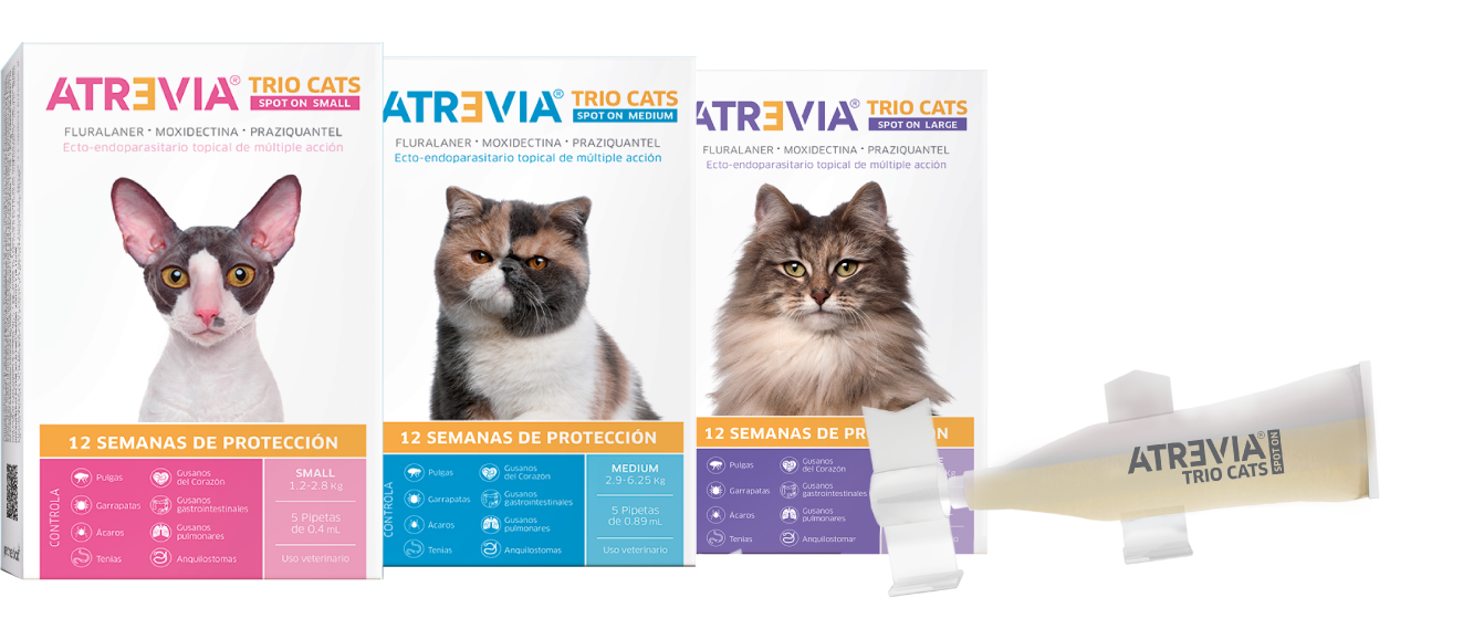 ATREVIA TRIO CATS - Pipeta antipulgas