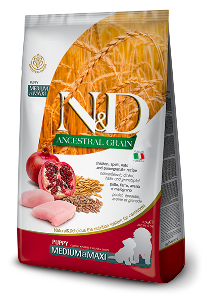 N&D Ancestral Pollo & Granada Puppy Medium - Perro
