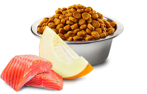 Croquetas de N&D Ocean Salmón y Melón para gatos castrados
