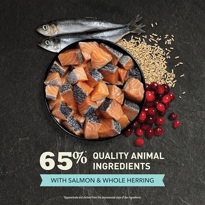 ACANA Bountiful Catch 4LB - Gatos Adultos