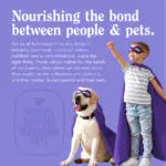 NutriSource Little Bites with Rabbit - Treats de Conejo para Perros