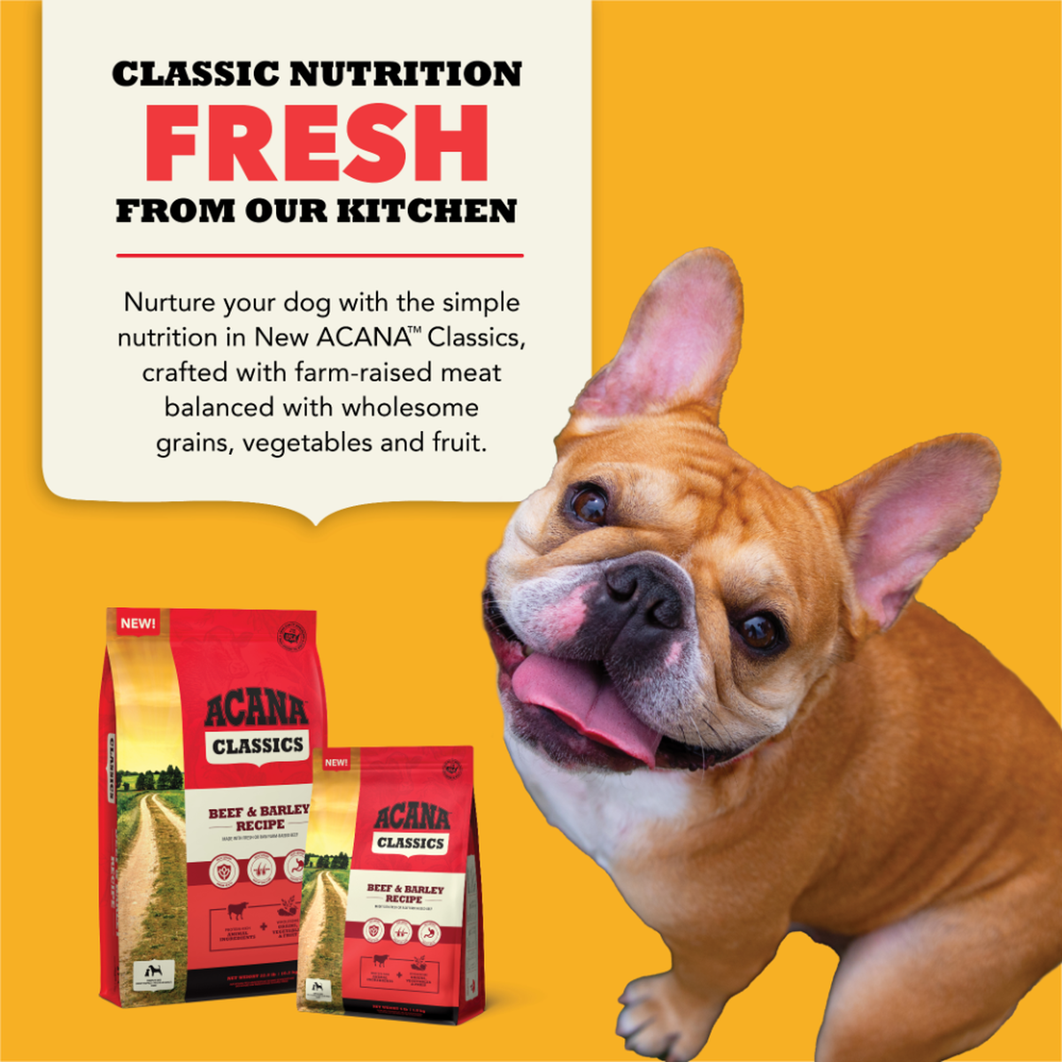 Beneficios de ACANA Classics Res y Cebada para perros de todas las razas