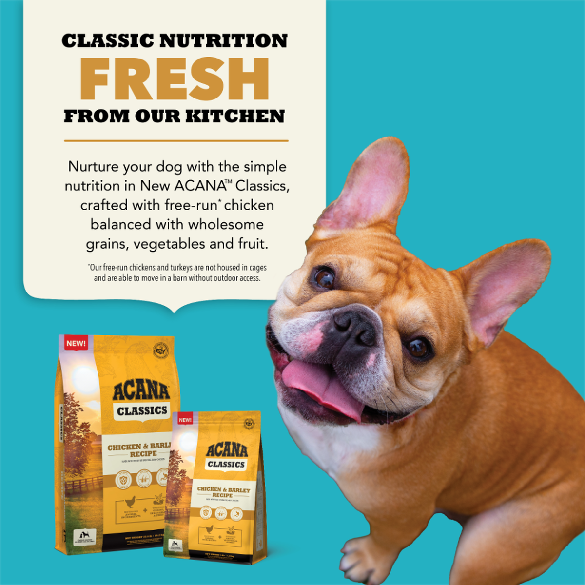 ACANA Classics Pollo y Cebada, alimento seco para perros de todas las razas