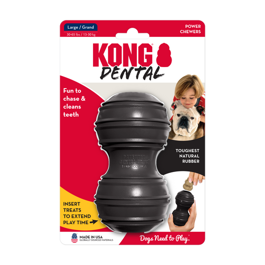 KONG extreme dental