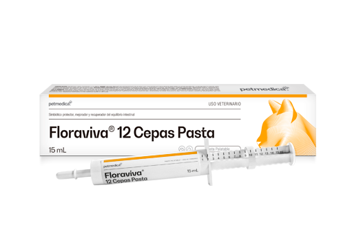 Probióticos Digestivos Perros y Gatos Floraviva 12 Cepas Pasta