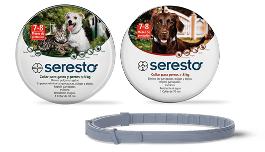 Collar Seresto – Perro y gato