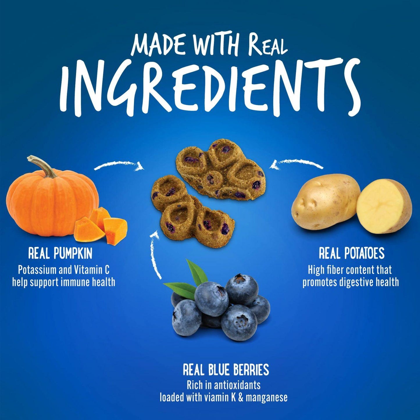 Fruitables Biggies – Pumpkin & Blueberry