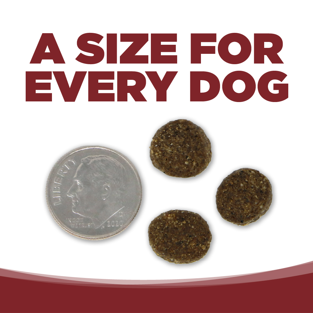 NutriSource Pure Vita Beef & Kale Entrée - Perro