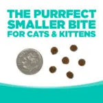 NutriSource Country Select GF - Gato