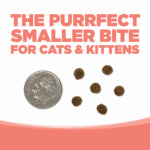 NutriSource Ocean Select GF - Gato