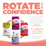 NutriSource Ocean Select GF - Gato
