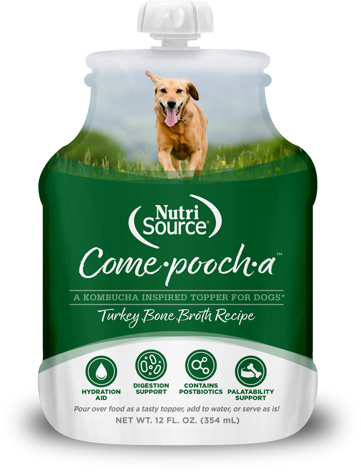 NutriSource Come-Pooch-A Turkey Caldo de Hueso de Pavo para Perros 12 oz