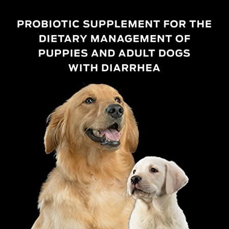 Purina Pro Plan FortiFlora Probiótico para Perros