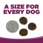 NutriSource Pure Vita Pork & Blueberry Entrée - Perro