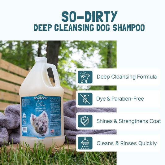 Bio - Groom So - Dirty Shampoo 12oz - PetRepublicGtBio - Groom