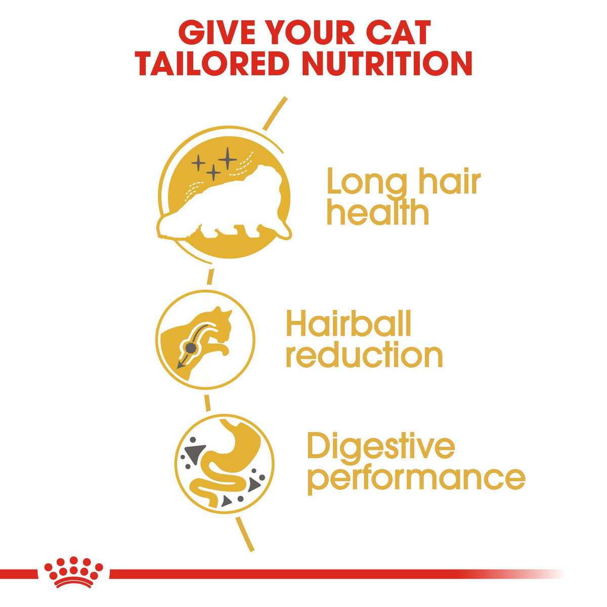 Concentrado Royal Canin para gatos persas adultos de pelo largo