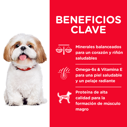 Hill’s Science Diet Mature Adult Small Bites Dry