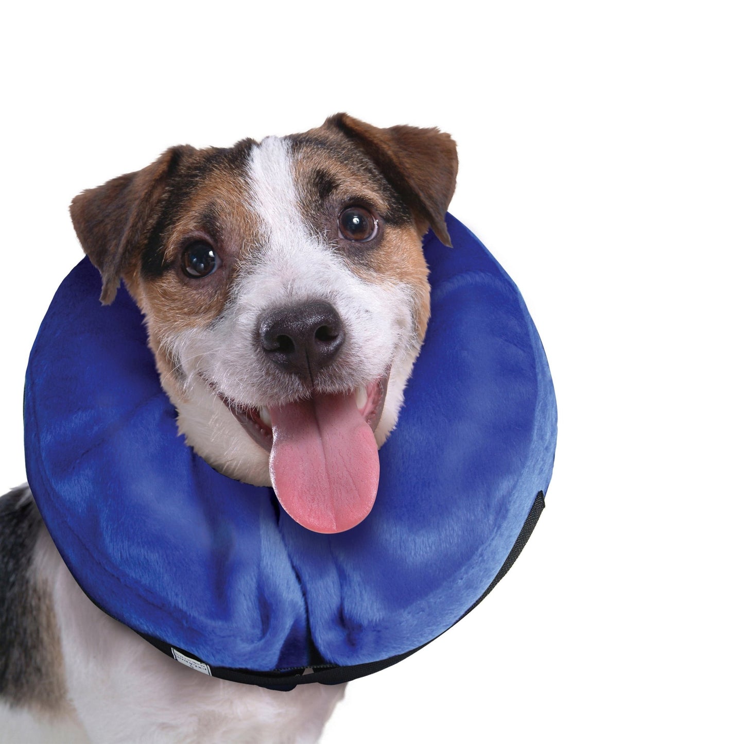 KONG Cloud™ Collar| Nube de E - Collar - Pet Republic GTKongXL