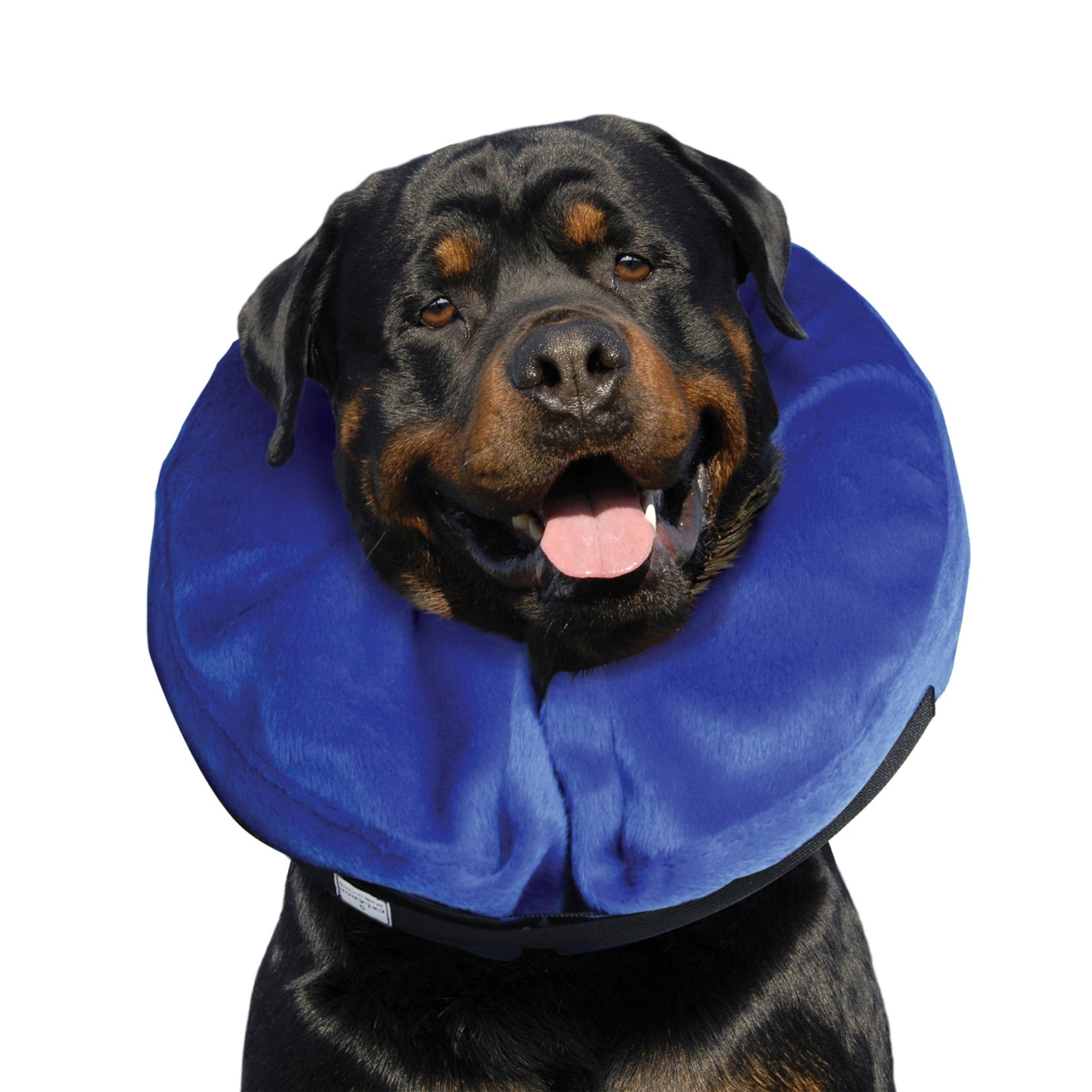 KONG Cloud™ Collar| Nube de E - Collar - Pet Republic GTKongXL