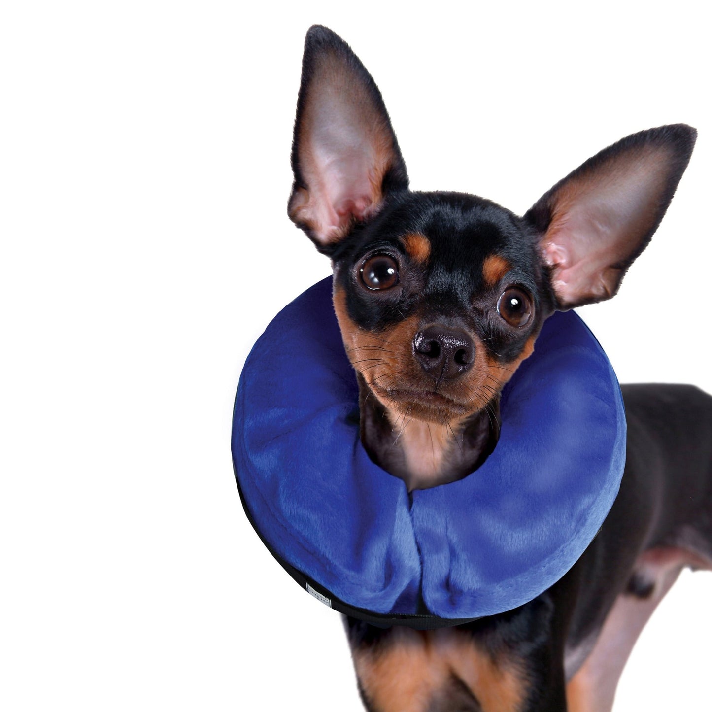 KONG Cloud™ Collar| Nube de E - Collar - Pet Republic GTKongXL