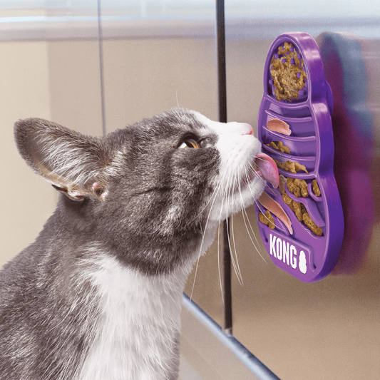 KONG Licks Kitty Mat – Alfombrilla de Lamer para Gatos con Ventosas - PetRepublicGtPetRepublicGt