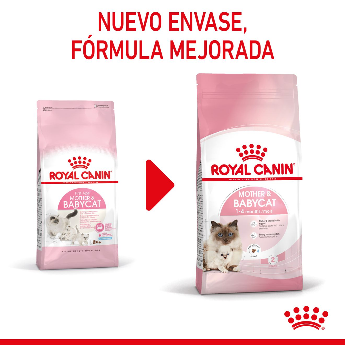 Croquetas rehidratables Royal Canin Mother & Babycat para el destete de gatitos