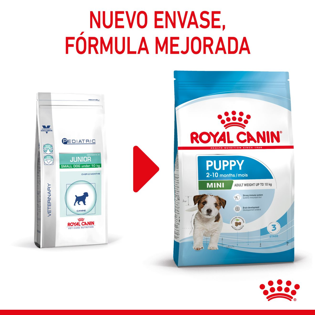 Croqueta Royal Canin Mini Puppy para razas pequeñas