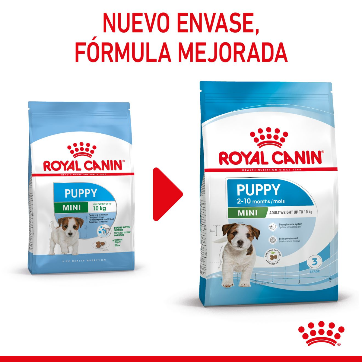 Imagen complementaria Royal Canin Mini Puppy